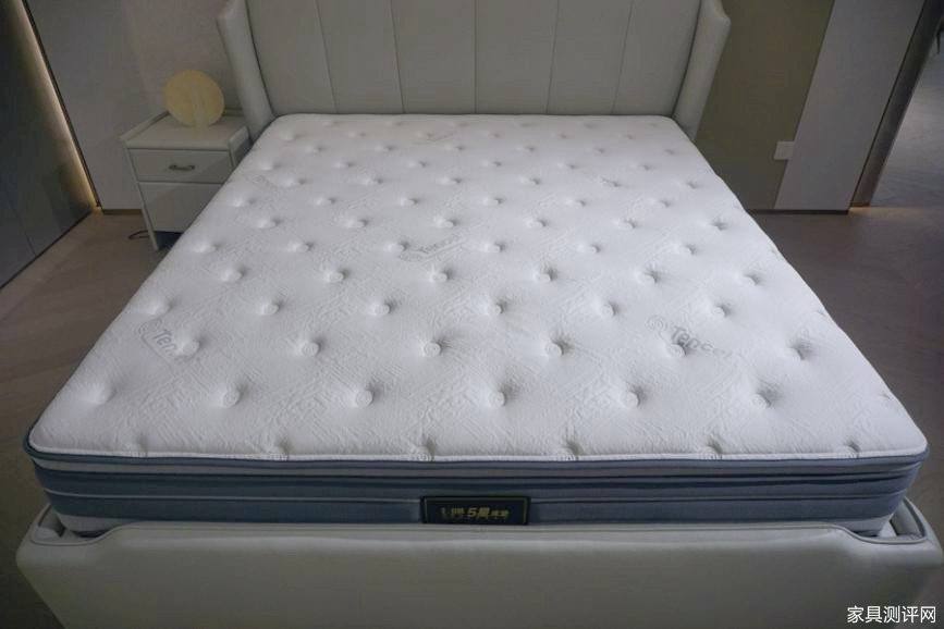 芝华仕5星床垫测评:“皇冠式”设计给足气场不撞款 护脊床垫也有趣味动感(型号:苏黎世电动套床)(图22) image040_副本.jpg