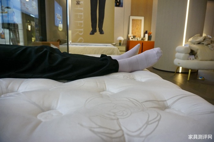 芝华仕5星软床测评:多面设计将高级质感带入小卧室 床垫软糯宜睡眠(型号:情书床架+玫瑰心语床垫)(图30) 30_副本.jpg