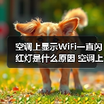 空调上显示WiFi一直闪红灯是什么原因 空调上显示WiFi一直闪红灯解决方案【详解】（图3）