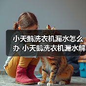 小天鹅洗衣机漏水怎么办 小天鹅洗衣机漏水解决方法【详解】（图1）