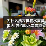 为什么洗衣机脱水声音很大 衣机脱水声音很大解决方法【详解】（图1）