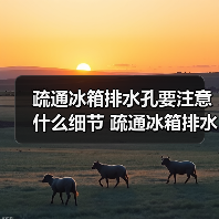 疏通冰箱排水孔要注意什么细节 疏通冰箱排水孔的注意细节介绍【介绍】（图1）
