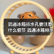 疏通冰箱排水孔要注意什么细节 疏通冰箱排水孔的注意细节介绍【介绍】（图3）