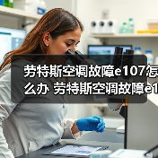 劳特斯空调故障e107怎么办 劳特斯空调故障e107解决方法【详解】（图1）