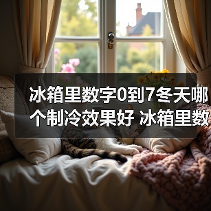 冰箱里数字0到7冬天哪个制冷效果好 冰箱里数字0到7的等级介绍【详解】（图2）