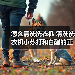 怎么清洗洗衣机 清洗洗衣机小苏打和白醋的正确方法【注意事项】（图4）
