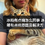 冰箱有点响怎么回事 冰箱有点响原因及解决方法【详解】（图1）