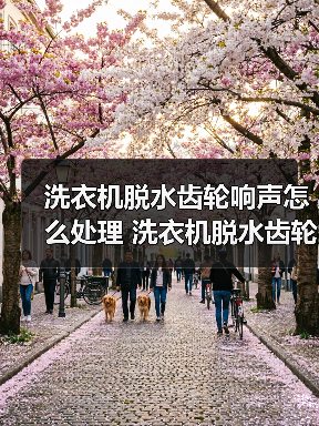洗衣机脱水齿轮响声怎么处理 洗衣机脱水齿轮响声修理方法【详解】（图3）