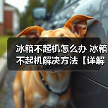 冰箱不起机怎么办 冰箱不起机解决方法【详解】（图1）