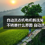 自动洗衣机电机转洗筒不转是什么原因 自动洗衣机电机转洗筒不转解决方法【详解】（图2）