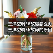 三洋空调E6故障怎么办 三洋空调E6故障的原因与解决方法【详解】（图4）