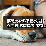 滚筒洗衣机不脱水是什么原因 滚筒洗衣机不脱水原因分析【详解】（图2）