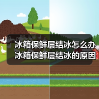 冰箱保鲜层结冰怎么办 冰箱保鲜层结冰的原因及解决方法【详解】（图3）
