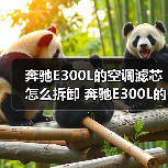 奔驰E300L的空调滤芯怎么拆卸 奔驰E300L的空调滤芯拆卸方法【详解】（图4）