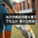 海尔空调遥控器不显示了怎么办 海尔空调遥控器不显示了解决方法【详解】（图2）