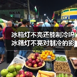 冰箱灯不亮还能制冷吗 冰箱灯不亮对制冷的影响【详解】（图2）