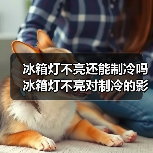 冰箱灯不亮还能制冷吗 冰箱灯不亮对制冷的影响【详解】（图3）