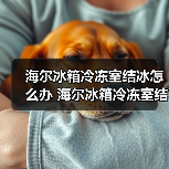 海尔冰箱冷冻室结冰怎么办 海尔冰箱冷冻室结冰的原因及其解决方法【详解】（图4）
