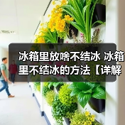 冰箱里放啥不结冰 冰箱里不结冰的方法【详解】（图2）