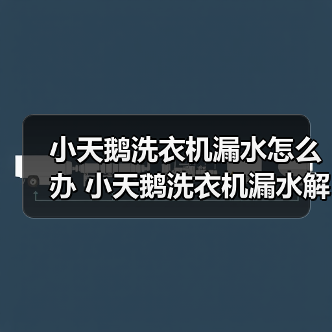 小天鹅洗衣机漏水怎么办 小天鹅洗衣机漏水解决方法【详解】（图3）