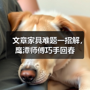 文章家具难题一招解，鹰潭师傅巧手回春（图2）