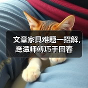 文章家具难题一招解，鹰潭师傅巧手回春（图4）