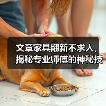 文章家具翻新不求人，揭秘专业师傅的神秘技能（图4）