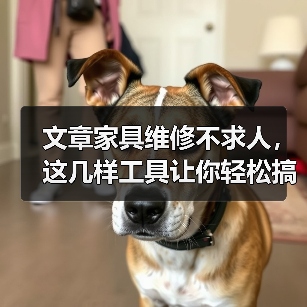 文章家具维修不求人，这几样工具让你轻松搞定！（图1）
