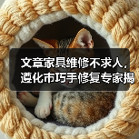文章家具维修不求人，遵化市巧手修复专家揭秘（图4）