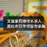 文章家具维修不求人，遵化市巧手修复专家揭秘（图1）