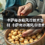 卡萨帝冰箱风冷技术怎样 卡萨帝冰箱风冷技术介绍【详解】（图2）