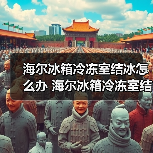 海尔冰箱冷冻室结冰怎么办 海尔冰箱冷冻室结冰的原因及其解决方法【详解】（图3）
