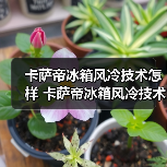 卡萨帝冰箱风冷技术怎样 卡萨帝冰箱风冷技术介绍【详解】（图1）