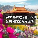 学生阅读椅定制：校园公共阅览室专用座椅（图2）