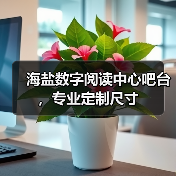 海盐数字阅读中心吧台，专业定制尺寸（图1）