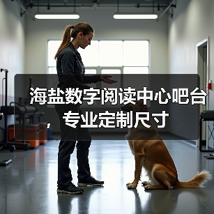 海盐数字阅读中心吧台，专业定制尺寸（图3）