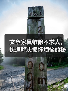 文章家具维修不求人，快速解决损坏烦恼的秘密电话！（图3）