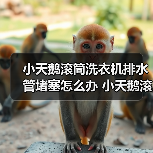 小天鹅滚筒洗衣机排水管堵塞怎么办 小天鹅滚筒洗衣机排水管堵塞解决方法【详解】（图2）