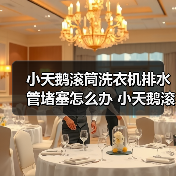 小天鹅滚筒洗衣机排水管堵塞怎么办 小天鹅滚筒洗衣机排水管堵塞解决方法【详解】（图3）