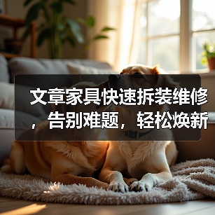 文章家具快速拆装维修，告别难题，轻松焕新生活（图3）