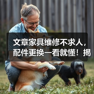 文章家具维修不求人,配件更换一看就懂!揭秘家居保养秘诀(图1) 文章家具维修不求人,配件更换一看就懂!揭秘家居保养秘诀(图1)