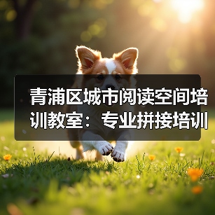 青浦区城市阅读空间培训教室：专业拼接培训桌定制（图2）