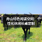 舟山特色阅读空间：个性化休闲长桌定制（图1）