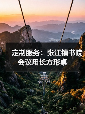 定制服务：张江镇书院会议用长方形桌（图4）
