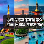 冰箱冷冻室不冻是怎么回事 冰箱冷冻室不冻的原因及解决方法【详解】（图4）