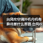台风吹空调外机内机有异响是什么原因 台风吹空调外机内机有异响解决办法【详解】（图2）