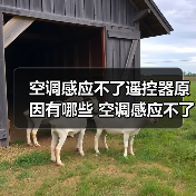 空调感应不了遥控器原因有哪些 空调感应不了遥控器解决方案【详解】（图2）