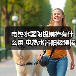 电热水器阳极镁棒有什么用 电热水器阳极镁棒的作用【详解】（图1）
