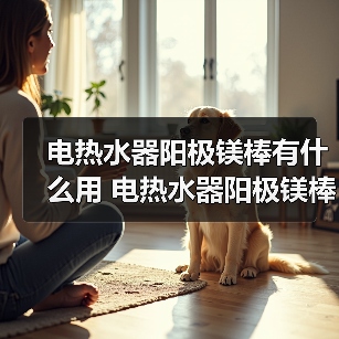 电热水器阳极镁棒有什么用 电热水器阳极镁棒的作用【详解】（图3）