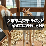 文章家具变形速修攻略:揭秘家居焕新小妙招(图2) 文章家具变形速修攻略:揭秘家居焕新小妙招(图2)
